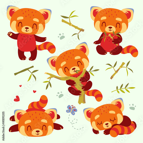 Fototapeta Naklejka Na Ścianę i Meble -  vector cartoon red panda set