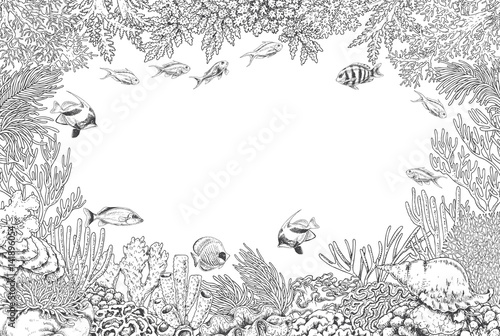 Underwater Background with Corals  and Fishes