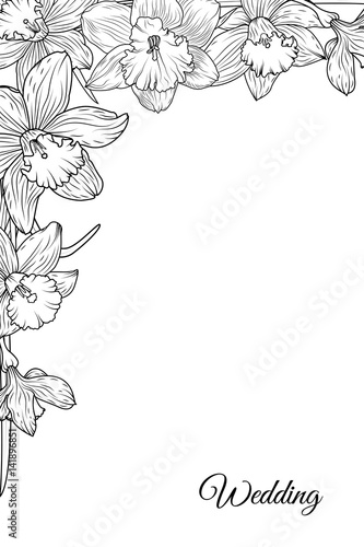 Narcissus daffodil blooming flowers corner border frame template. Black and white floral vector design illustration. Detailed outline sketch. Wedding marriage theme.