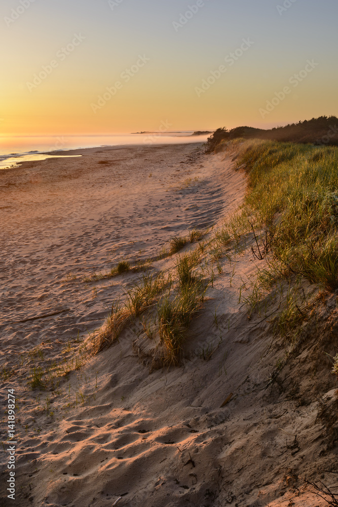Golden, Foggy Sunrise on Beach in Summer