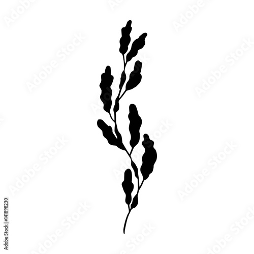 Seaweed vector
