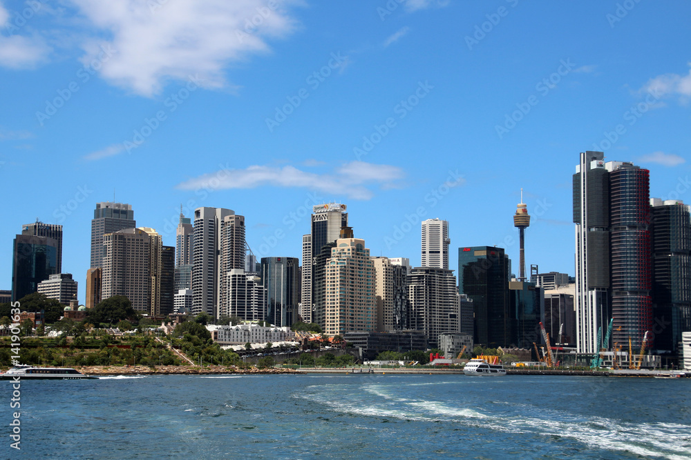 Fototapeta premium Sydney-Skyline