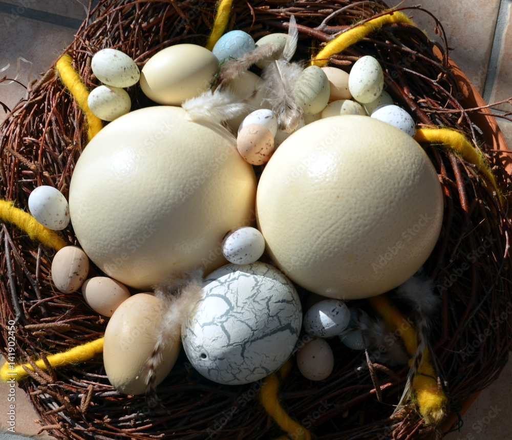 Fototapeta premium Eier