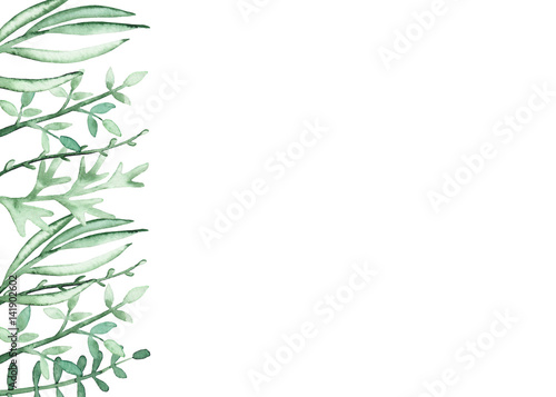 Card With Watercolor Green Herbs and Leaves