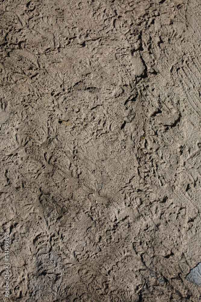 Beige decorative plaster Beige decorative plaster