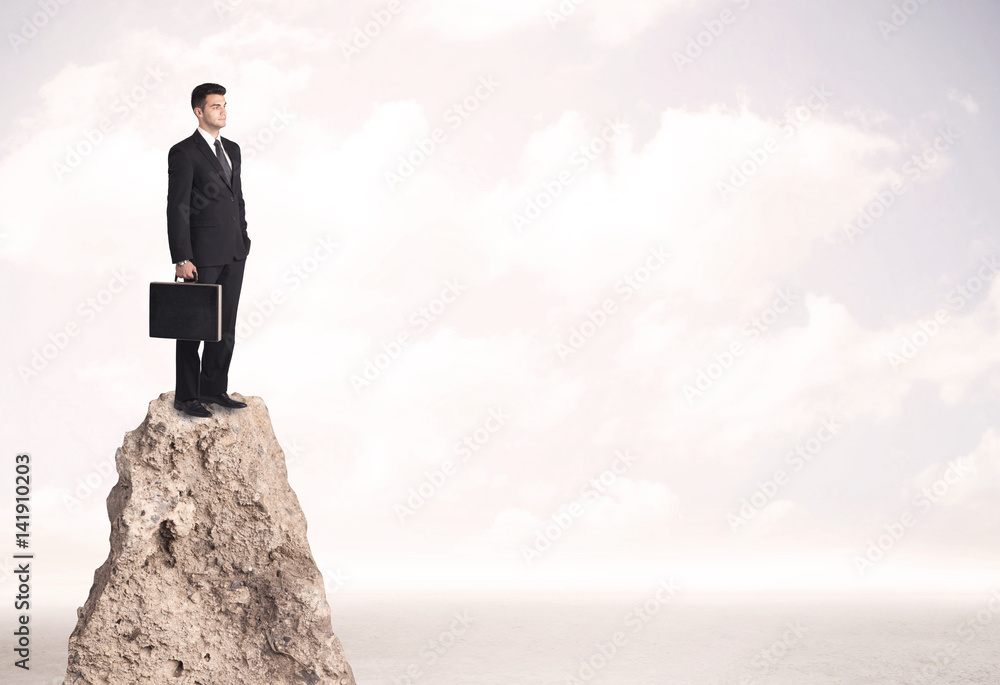 Happy businessman standing on cliff