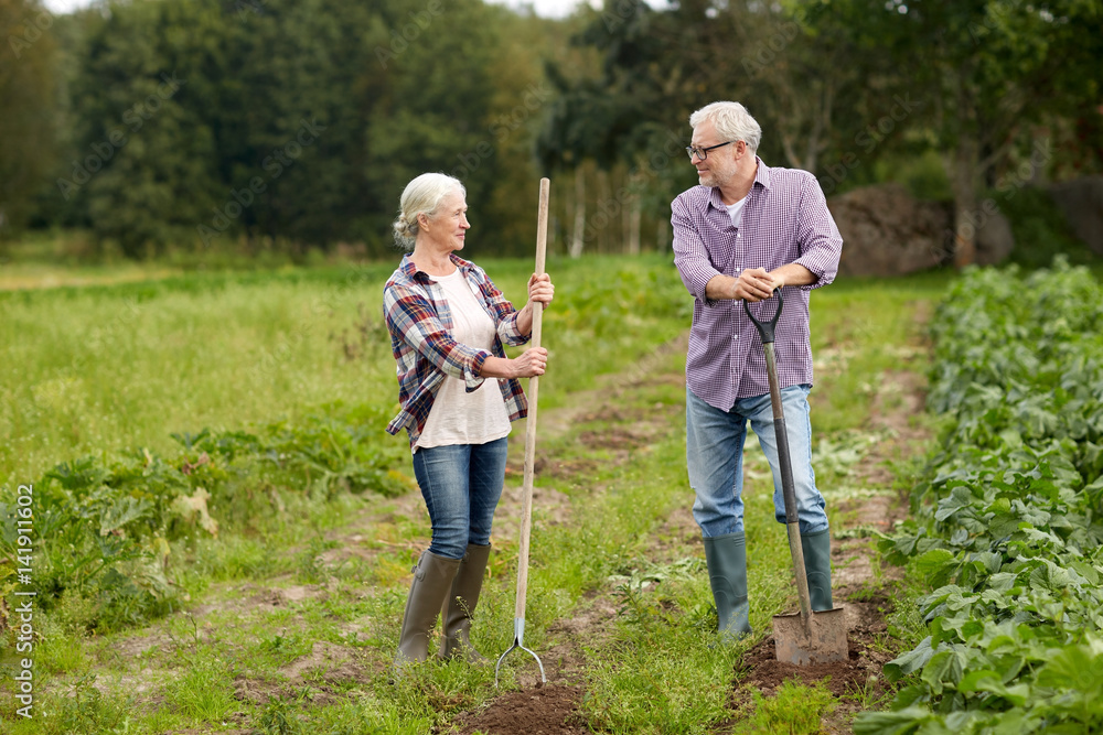 senior couple with shovels at garden or farm senior couple with shovels at garden or farm