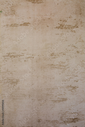 Wallpaper Mural Beige decorative plaster Torontodigital.ca