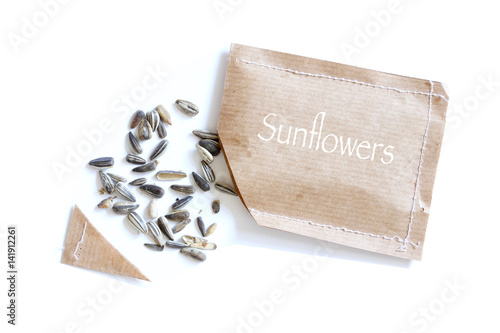 sunflower seeds for planting photo