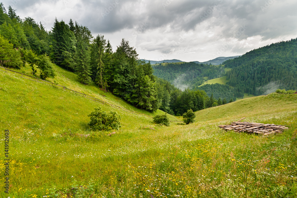 Landscape in Apuseni Mountain, Carpathian , Romania