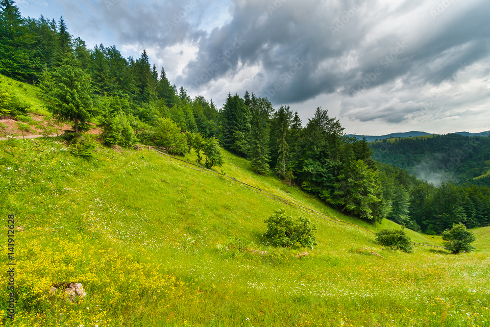 Landscape in Apuseni Mountain, Carpathian , Romania