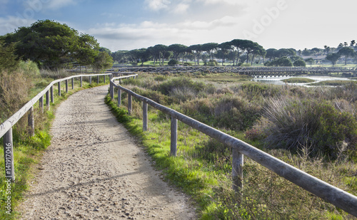 Piedras river marshlands footpath photo