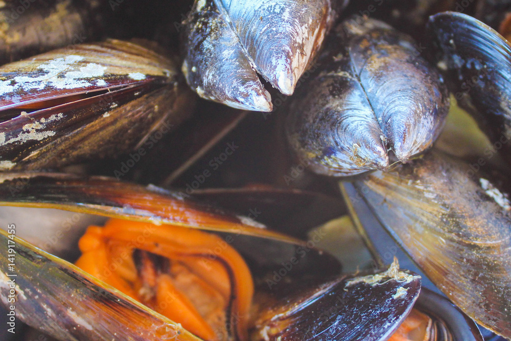 Mussels Detail