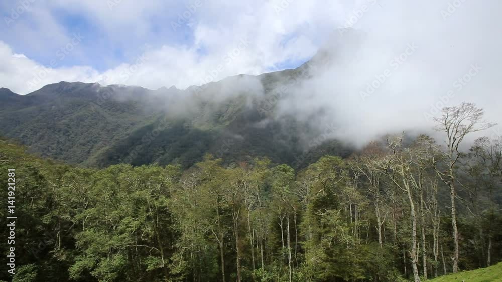 Clouds drift through a valley near Salento, Colombia. Clouds drift through a valley near Salento, Colombia.