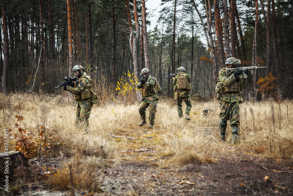 Norwegian Rapid reaction special forces FSK soldiers in field uniforms ...