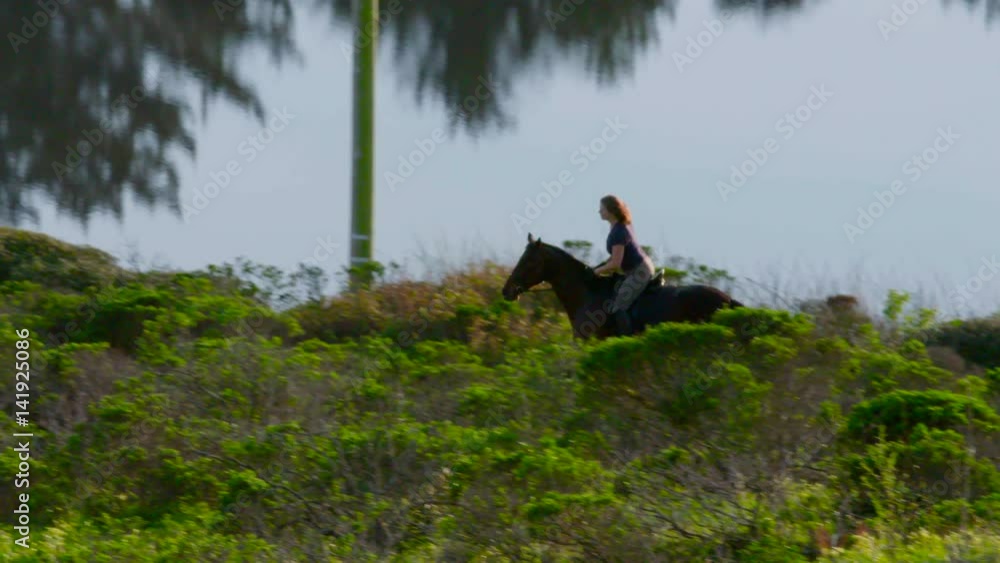 Adult equestrian woman cantering a Thoroughbred horse next to a lake on a lakeside green trail at golden hour lighting in slow motion long lens riding SDF5 Adult equestrian woman cantering a Thoroughbred horse next to a lake on a lakeside green trail at golden hour lighting in slow motion long lens riding SDF5