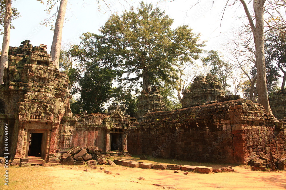 Ta Prohm Temple, Cambodia