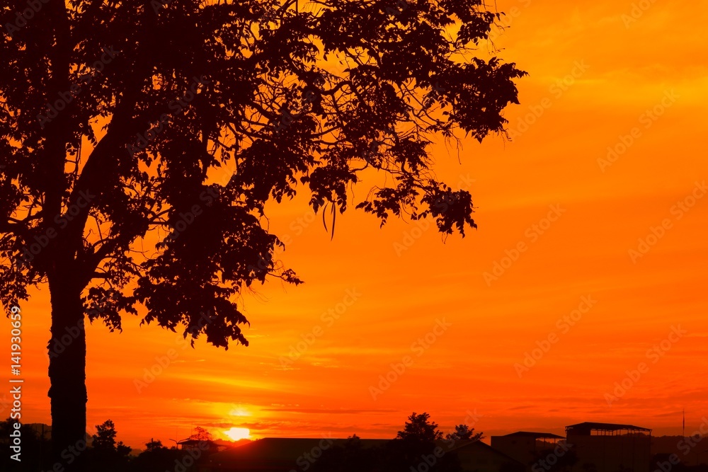 sunset beautiful colorful landscape and silhouette tree in sky twilight time sunset beautiful colorful landscape and silhouette tree in sky twilight time