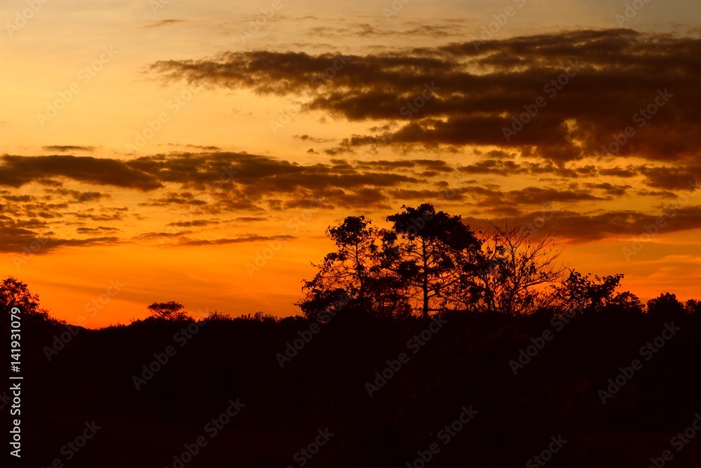 sunset beautiful colorful landscape and silhouette tree mountain in sky twilight time