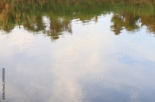 tree shadow reflex in river beautiful nature