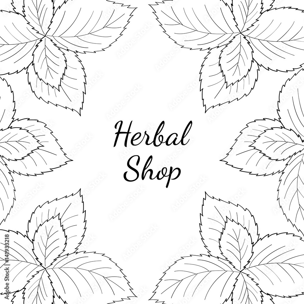Square banner. Organic herbal shop leaf template packaging cosmetic, label, poster, branding. Design with ink sketch hand drawn illustration. 