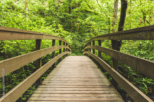 Wooden Bridge in Lush Forest