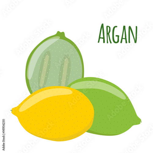 Argan fruit. Herbal cosmetics, eco therapy. Natural product. Flat style.