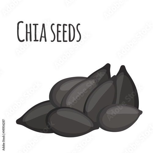 Chia seeds. Vegetarian food in cartoon flat style. Organic superfood.