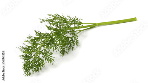 bunch fresh, green dill isolated on white background