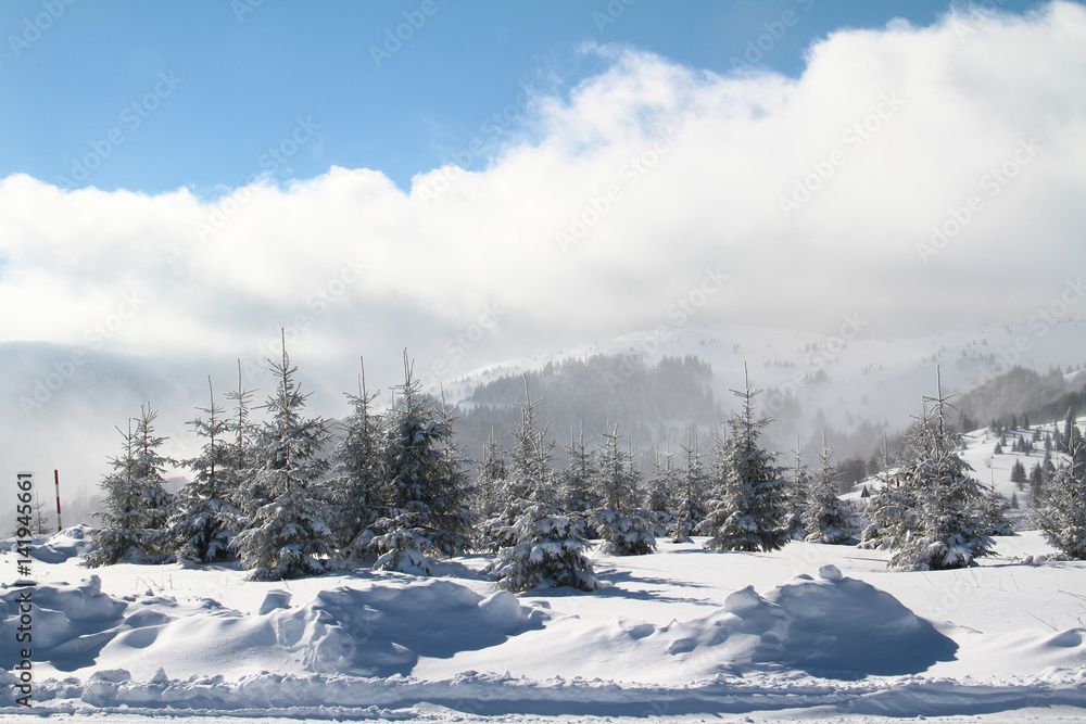 Obraz premium Beautiful Winter Morning - PaVideo