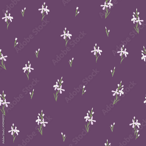 Seamless pattern with flowers Matthiola or evening primrose. 