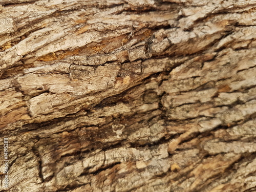 wooden texture background