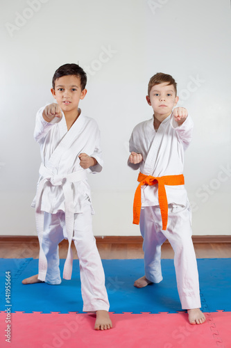Two boys demonstrate martial arts working together