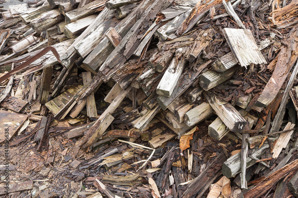 Rotting woods Rotting woods