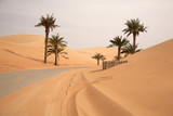 785817 Sand desert dunes
