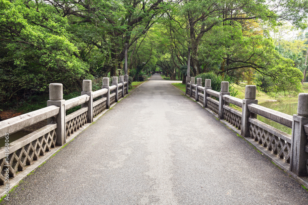 Road in the forest