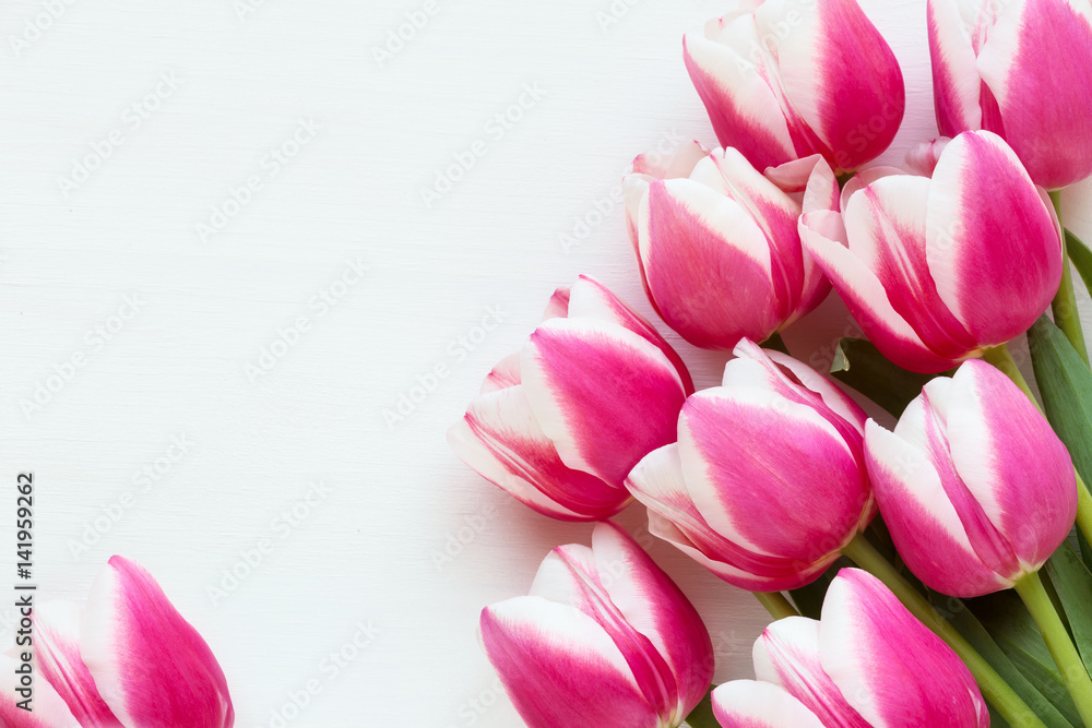 Fototapeta premium Happy Mother’s Day concept - pink tulips and turquoise or teal colour hear shape lantern with a candle against white wooden background
