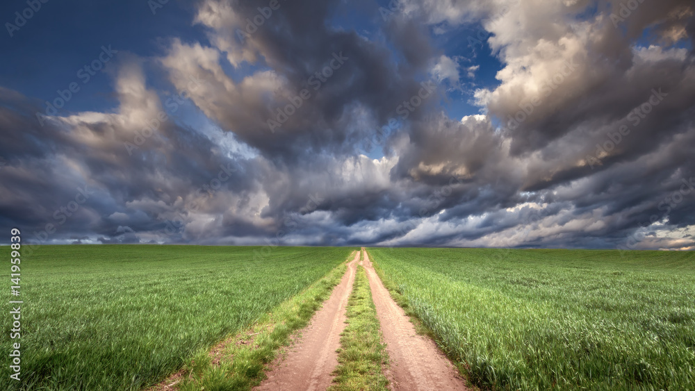 Empty gravel path and green fields at idyllic sunny day Empty gravel path and green fields at idyllic sunny day