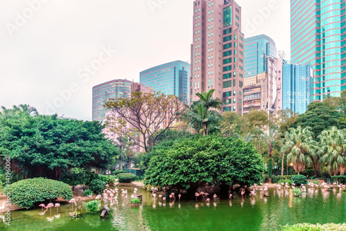 An oasis of green in an urban setting, Kowloon Park blends well with the surrounding natural landscape of Hong Kong city. Pink flamingoes hunting in the pond