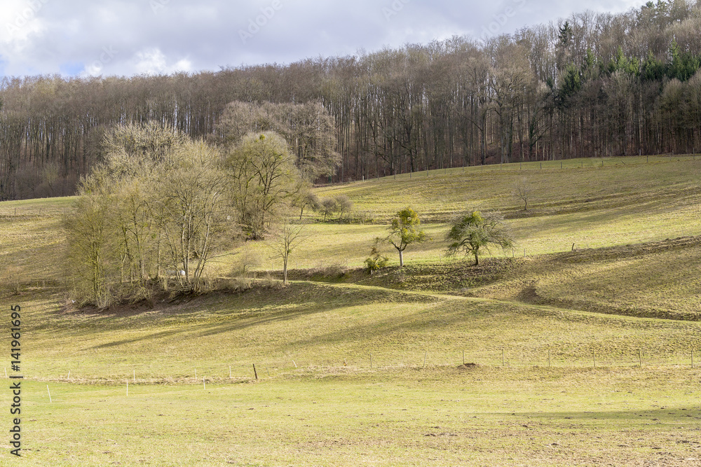 Fototapeta premium rural landscape in Hohenlohe