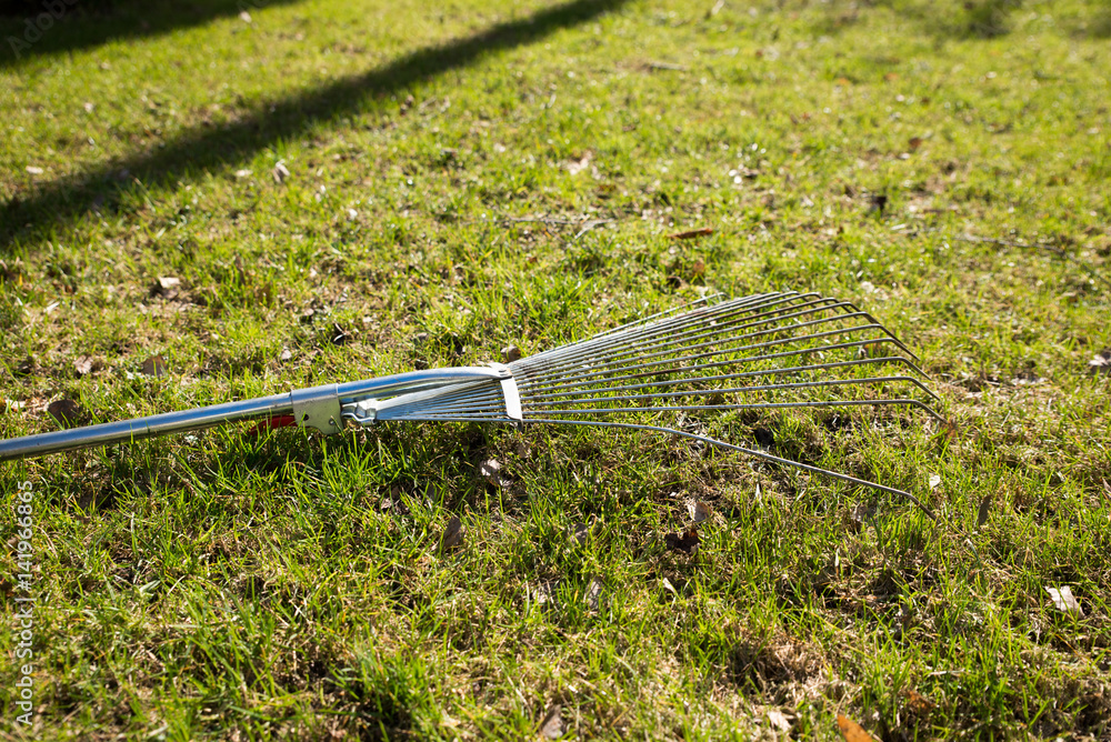Obraz premium Rake on grass