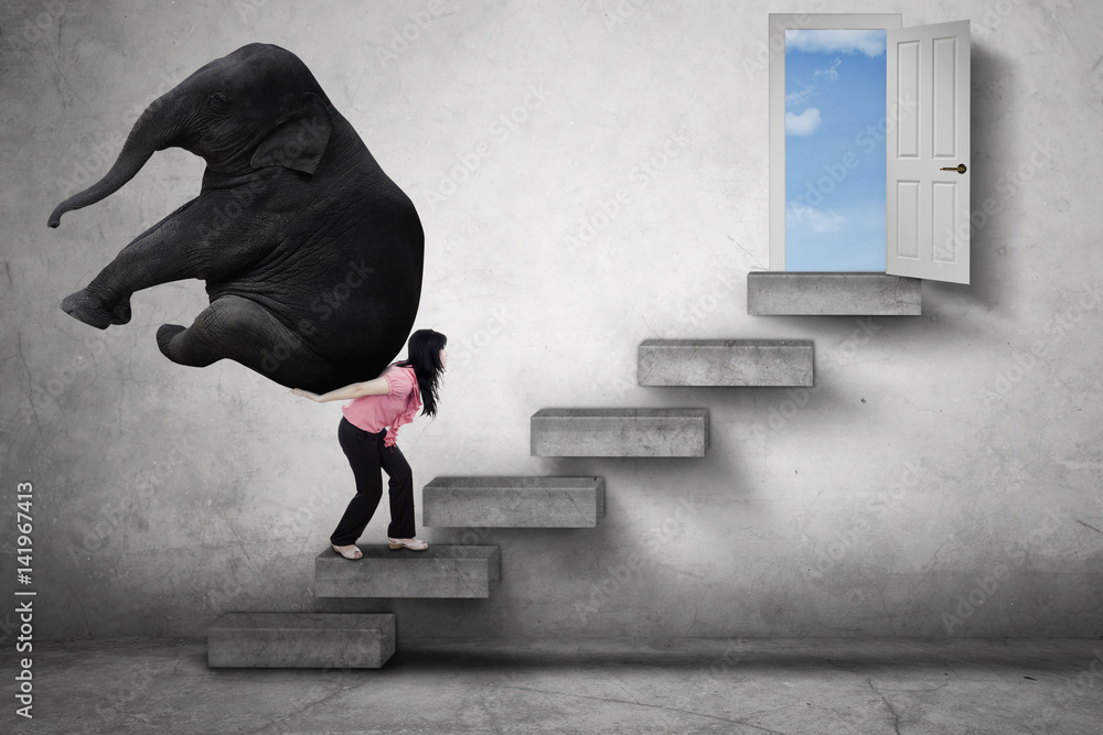 Woman brings elephant toward a door StockFoto Adobe Stock