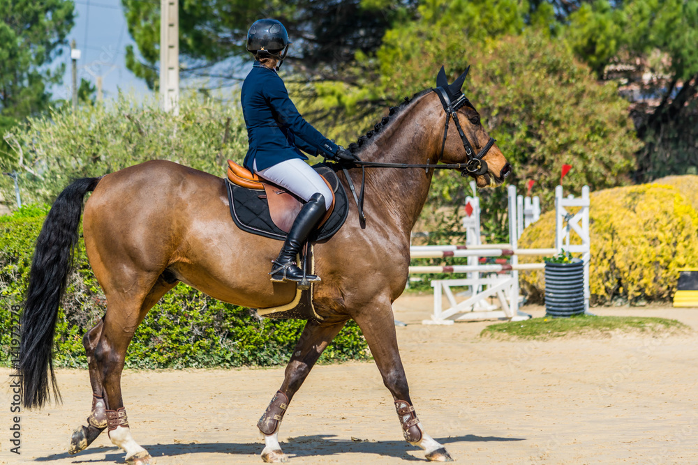 Equitation,saut d'obstacles,compétition. Equitation,saut d'obstacles,compétition.