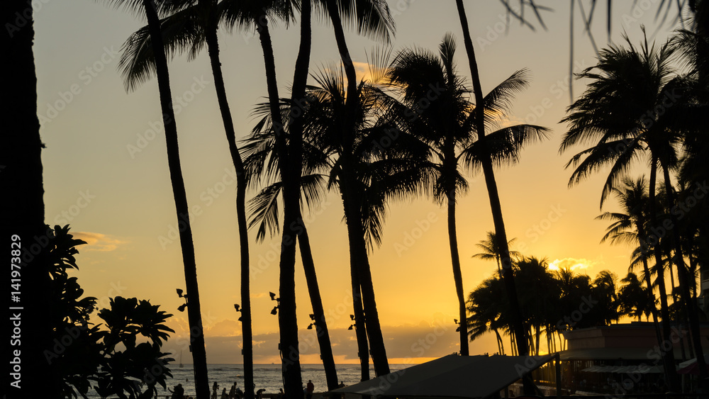 Obraz premium Oahu sunset