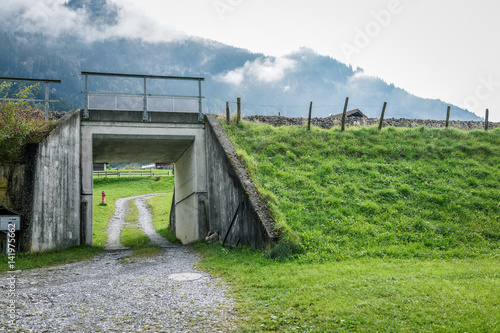 tunnel under the railroad with green grass in autumn Switzerland photo