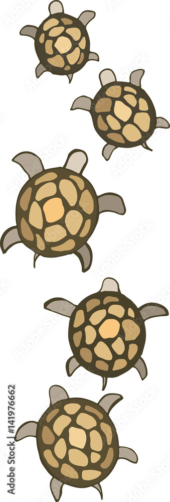 small sea turtles
small sea turtles