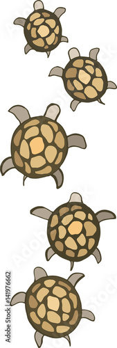 small sea turtles
