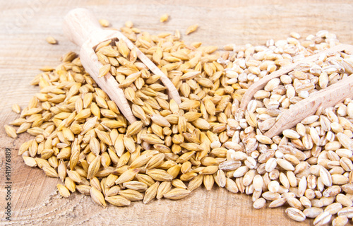 Barley grain or seeds and pearl barley.