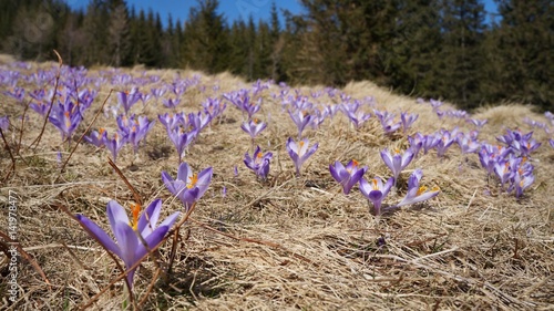 Spring is coming!