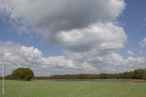 Field of grain. Drente Netherlands. Dutch landscapes. Clouds. Orvelte Drente Netherlands.  photo